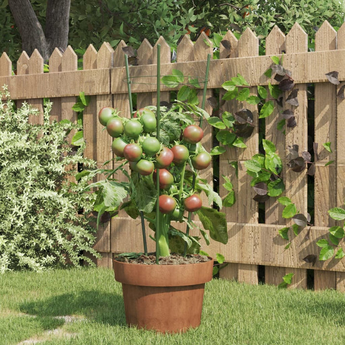 Plantensteunen – 3 Ringen – 75 cm – Staal Groen – Stevige Ondersteuning - Bivakshop