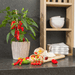 Plants by Frank – Rode Snack Paprika Plant – Plukgroente – Ø14 cm – ↕45 cm - Bivakshop
