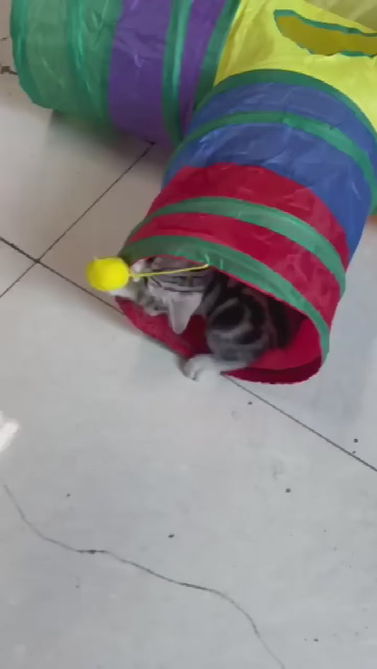 Opvouwbare katten konijn of honden tunnel - Huisdier speelgoed - speelgoedtunnel
