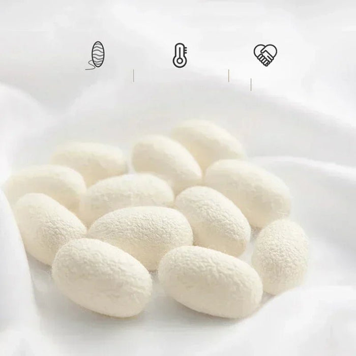 Pure natuurlijke moerbeizijde dekbed - Luxe comfort voor alle seizoenen - Bivakshop