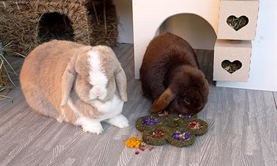 Rosewood - Naturals Flower 'N' Forage Blossom - 17 cm - Bivakshop