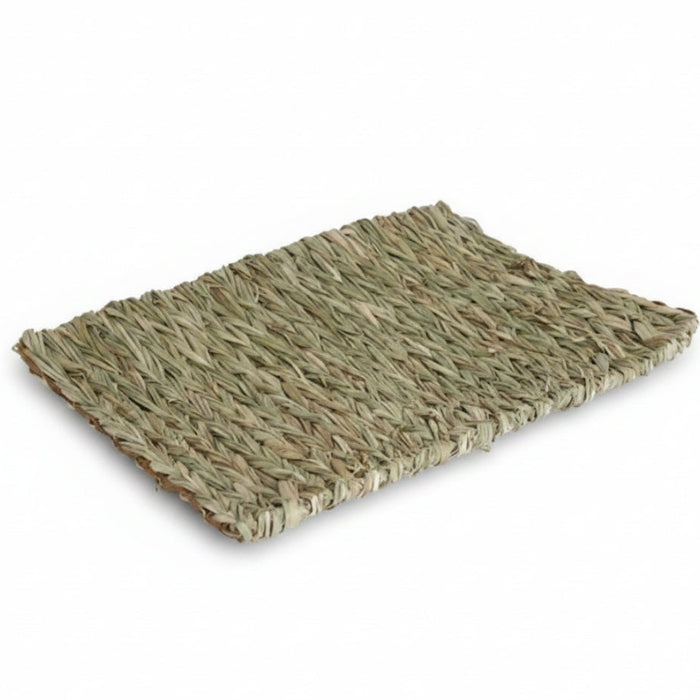 Rosewood - Naturals Gevlochten Slaap - en Speelmat (40x28 cm) - Bivakshop