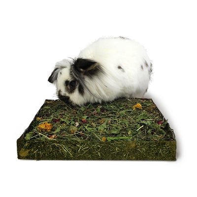 Rosewood - Naturals Weiland – Kruiden & Grassen (30×24×4 cm) - Bivakshop