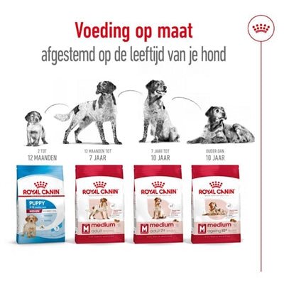 Royal Canin - Medium Adult - Hondenvoer voor Middelgrote Rassen - Bivakshop