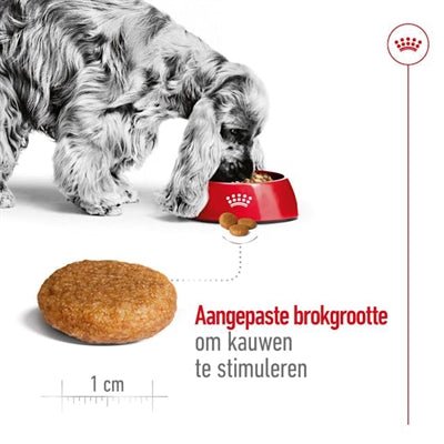 Royal Canin - Medium Adult - Hondenvoer voor Middelgrote Rassen - Bivakshop