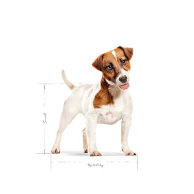 Royal Canin - Mini Adult - Hondenvoer voor Kleine Rassen - Bivakshop