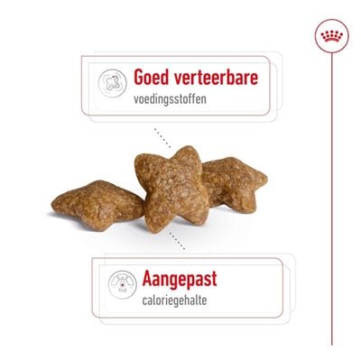 Royal Canin - Mini Adult - Hondenvoer voor Kleine Rassen - Bivakshop