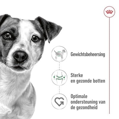 Royal Canin - Mini Adult - Hondenvoer voor Kleine Rassen - Bivakshop