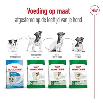 Royal Canin - Mini Adult - Hondenvoer voor Kleine Rassen - Bivakshop