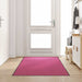 Slijtvaste Deurmat – Polyamide & PVC Entree Mat – Diverse Kleuren - Bivakshop