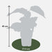 Tasty Green - Actinidia Deliciosa ‘Jenny’ – Zelfbestuivende Kiwi – Ø13 cm – ↕45 cm - Bivakshop