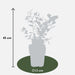 Tasty Green - Vaccinium Corymbosum 'Reka' - Blauwe Bes - Biologisch - 30 cm - Bivakshop