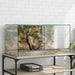 Terrarium Met Opslag – Glazen Terrarium – 360° Zicht – 6 Afmetingen - Bivakshop