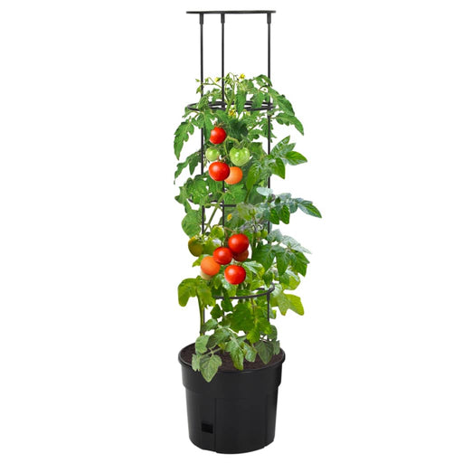 Tomatenkweekpot – Ø29,5 cm – 115 cm – Polypropeen – Antraciet – Met Klimsteun - Bivakshop