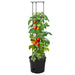 Tomatenkweekpot – Ø29,5 cm – 115 cm – Polypropeen – Antraciet – Met Klimsteun - Bivakshop
