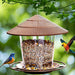 Transparante Vogelvoeder - Observeer wilde Vogels van dichtbij - Bivakshop