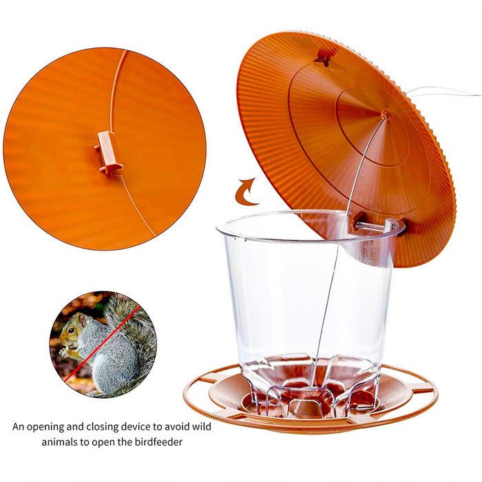 Transparante Vogelvoeder - Observeer wilde Vogels van dichtbij - Bivakshop