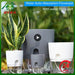 Transparante Zelfbewaterende Bloempot – Dubbele Laag – Indoor Plantenpot met Waterabsorptie Katoentouw - Bivakshop