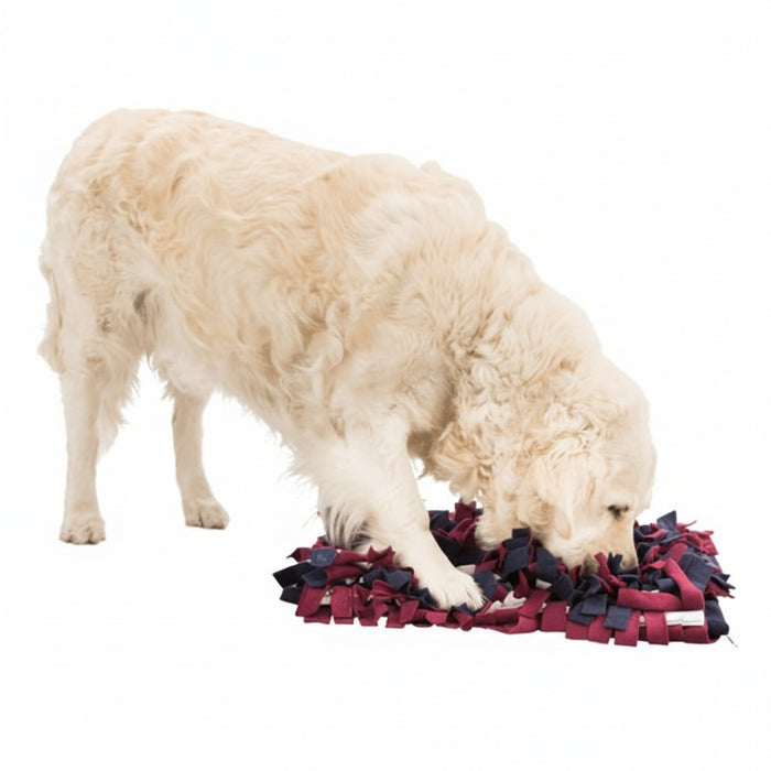 Trixie - Activity Snuffelmat - Interactieve Hondenpuzzel Assorti (50x34 cm) - Bivakshop