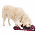 Trixie - Activity Snuffelmat - Interactieve Hondenpuzzel Assorti (50x34 cm) - Bivakshop