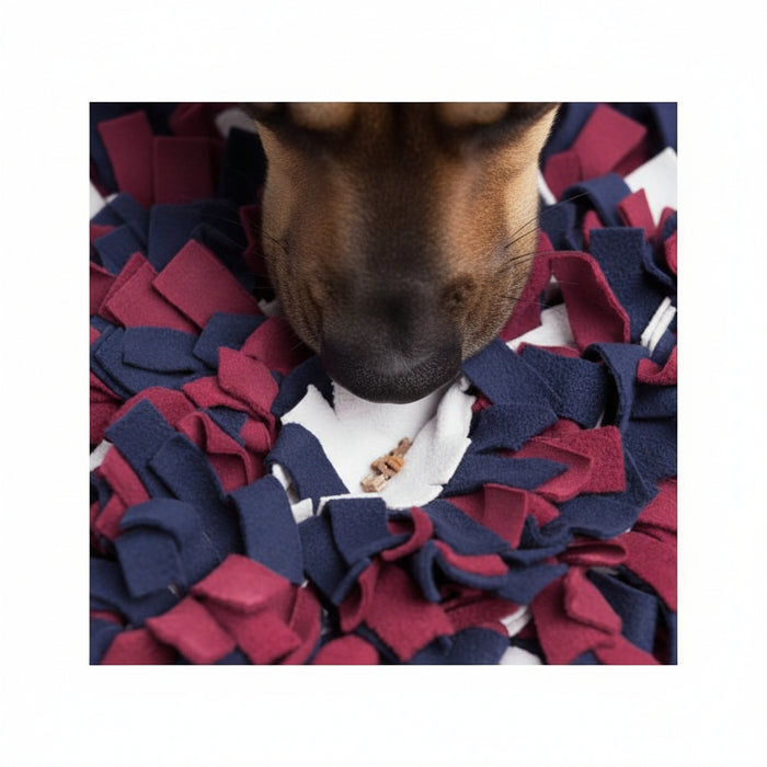Trixie - Activity Snuffelmat - Interactieve Hondenpuzzel Assorti (50x34 cm) - Bivakshop