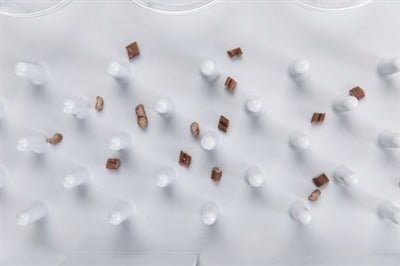 Trixie - Cat Activity Fun Board - Intelligentiespel Niveau 2 - 30 x 40 cm - Bivakshop