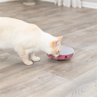 Trixie - Cat Activity Rocking Maze - Intelligentiespel Niveau 2 - 18 cm - Bivakshop