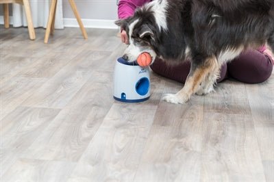 Trixie - Dog Activity Strategiespel Ball & Treat - Niveau 3 (17x17x18 cm) - Bivakshop