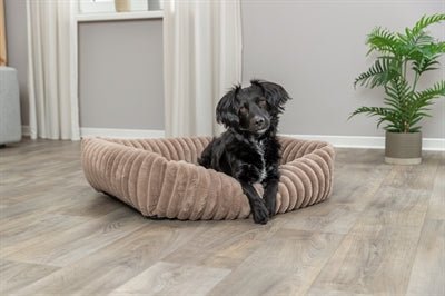 Trixie - Hondenmand Lonni - Ribfluweel Hoekig Lichtbruin - Diverse Maten - Bivakshop