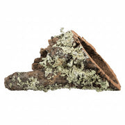 Trixie - Kurktunnel - Natuurlijk Schorshout (3 varianten) - Bivakshop