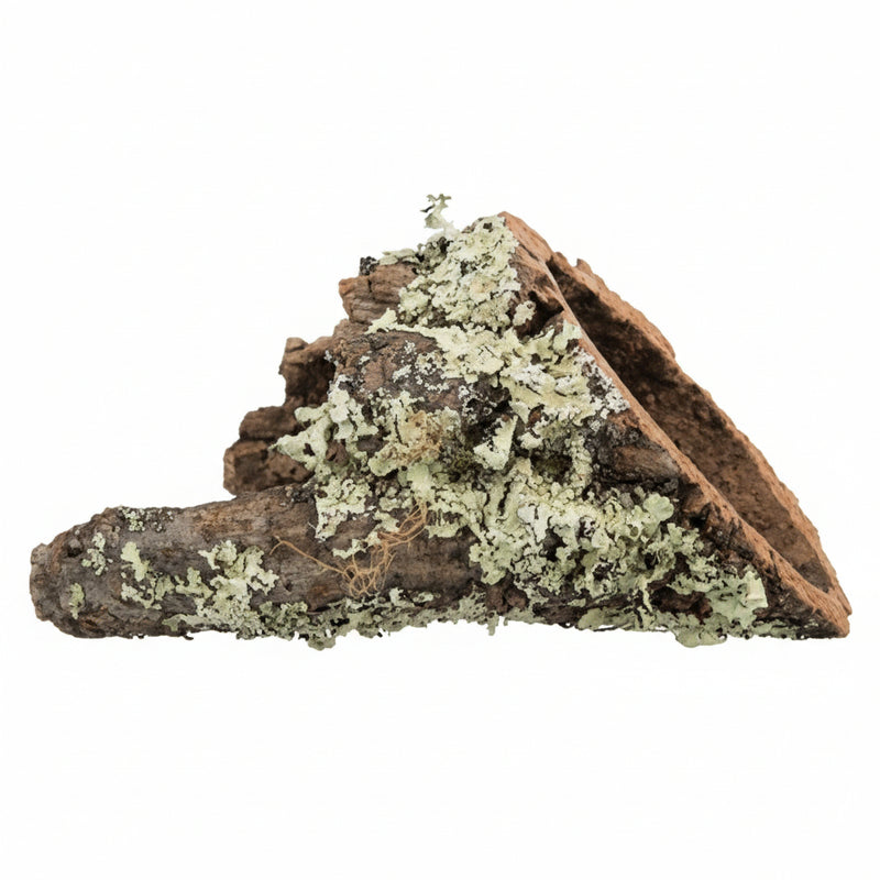 Trixie - Kurktunnel - Natuurlijk Schorshout (3 varianten) - Bivakshop