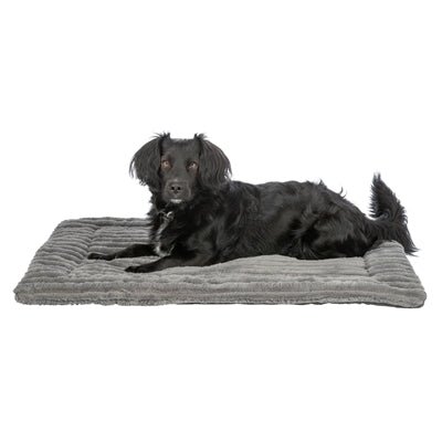 Trixie – Ligmat Lonni – Ribfluweel – Grijs - Bivakshop
