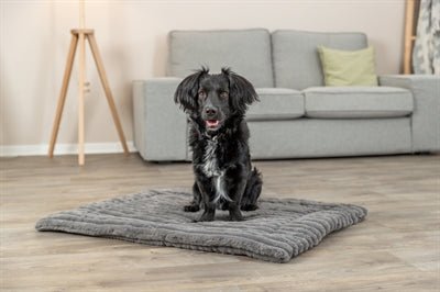 Trixie – Ligmat Lonni – Ribfluweel – Grijs - Bivakshop