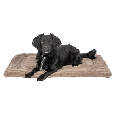 Trixie – Ligmat Lonni – Ribfluweel – Lichtbruin - Bivakshop