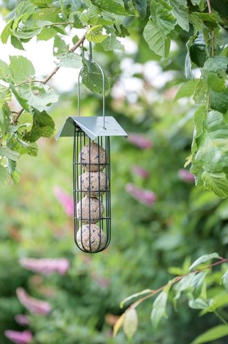 Trixie - Mezenbollenhouder Met Dak - Zwart - Bivakshop