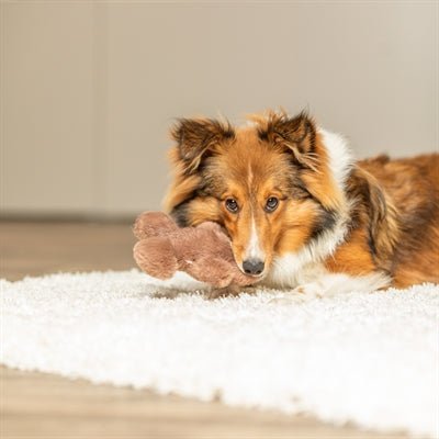 Trixie Pluche Gemberkoekman met Geluid (Xmas) – Hondenspeelgoed – Speels & Knuffelzacht - Bivakshop