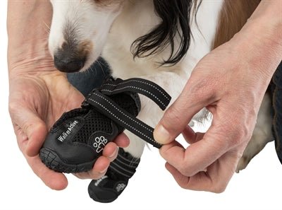 Trixie - Pootbescherming Walker Active Zwart - Diverse maten - Bivakshop