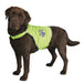 Trixie - Reflecterend Veiligheidsvest - Diverse maten - Bivakshop