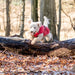 Trixie - Regenjas Vimy Rood - Diverse maten - Bivakshop