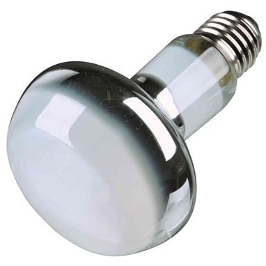 Trixie - Reptiland Warmte Spot - Lamp – 100W & 150W – UVA & Infrarood - Bivakshop