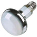 Trixie - Reptiland Warmte Spot - Lamp – 100W & 150W – UVA & Infrarood - Bivakshop