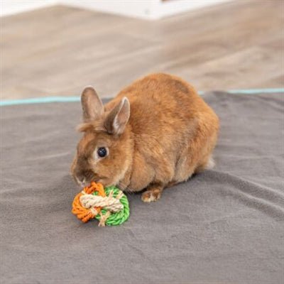 Trixie - Ringen Van Maislies (15x6x6 cm) - Bivakshop