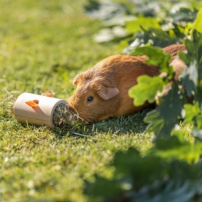 Trixie - Snack Roll Hout - Onbehandeld (6x6x11 cm) - Bivakshop