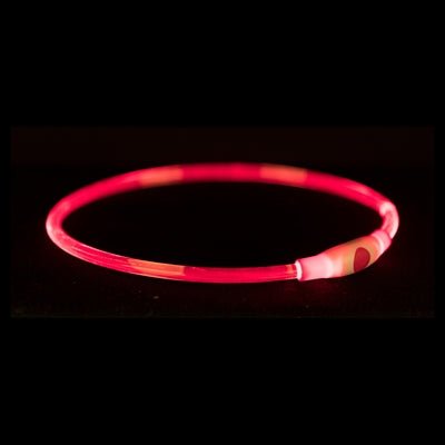 Trixie – USB Flash Light Halsband Multikleur (40 cm & 65 cm) – Oplaadbaar – 200 m Zichtbaarheid - Bivakshop