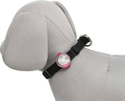 Trixie – USB Flasher – Oplaadbaar LED – 500 m Zichtbaarheid - Bivakshop