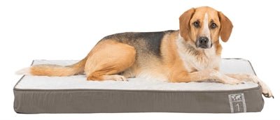 Trixie - Vitaal Orthopedisch Kussen - Taupe/Lichtgrijs - 100x70 cm - Memory Foam - Bivakshop