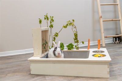 Trixie - Voederstation - Met Voerbak, Waterbak & Hooiruif (70x47x41cm) - Bivakshop