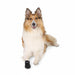Trixie - Walker Care Beschermschoenen Zwart - Diverse maten - Bivakshop