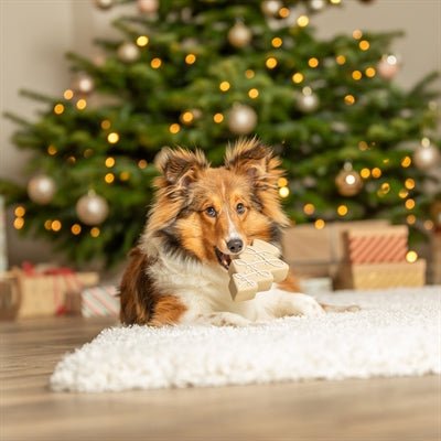 Trixie Xmas Kerstboom Latex – Beige Hondenspeelgoed – Speels & Duurzaam - Bivakshop