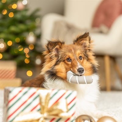 Trixie Xmas Kerststok Latex – Grijs Hondenspeelgoed – Speels & Duurzaam - Bivakshop